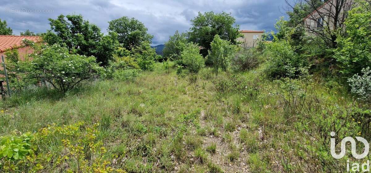 Photo 8 - Terrain à LOS MASOS