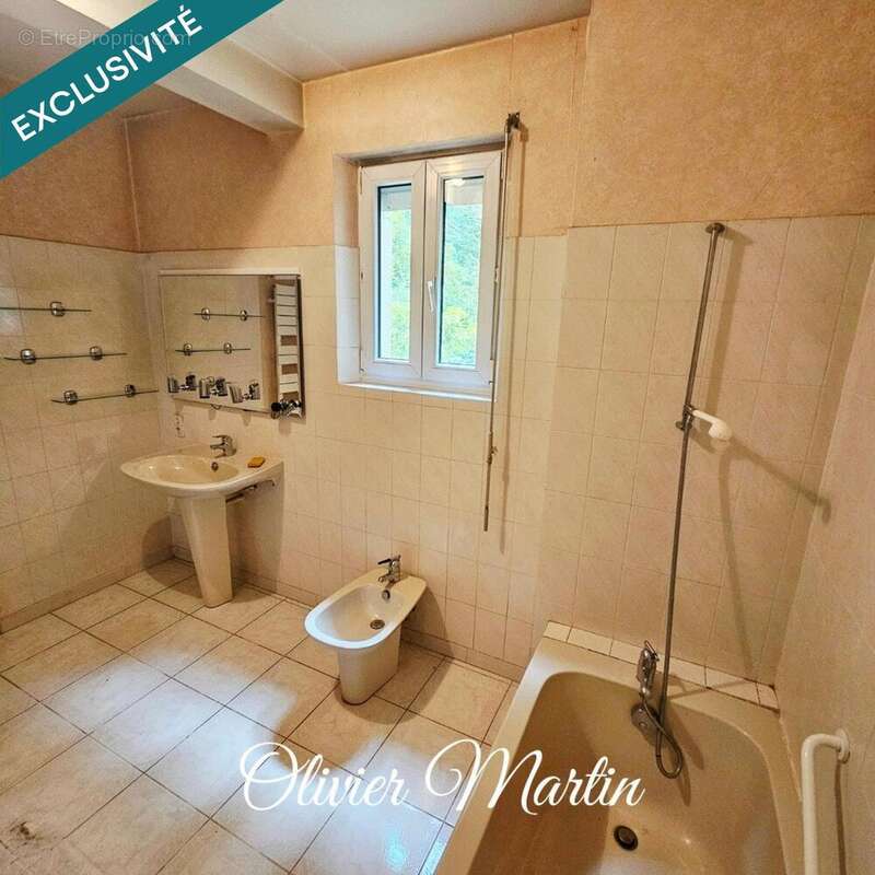 Maison 175 m² à Neuvy-En-Champagne  - photo 5