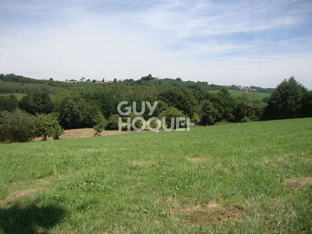 Terrain à MALAUSSANNE