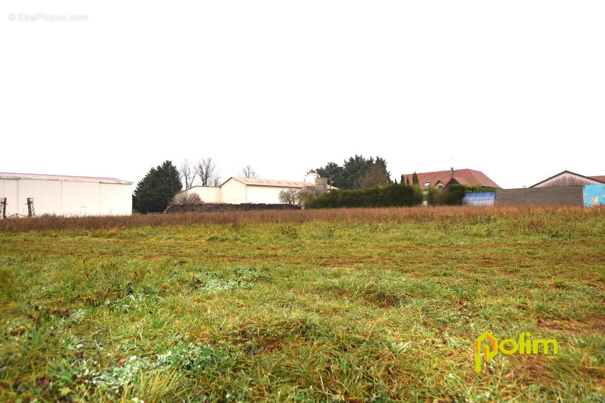 Terrain à VIEVILLE-EN-HAYE
