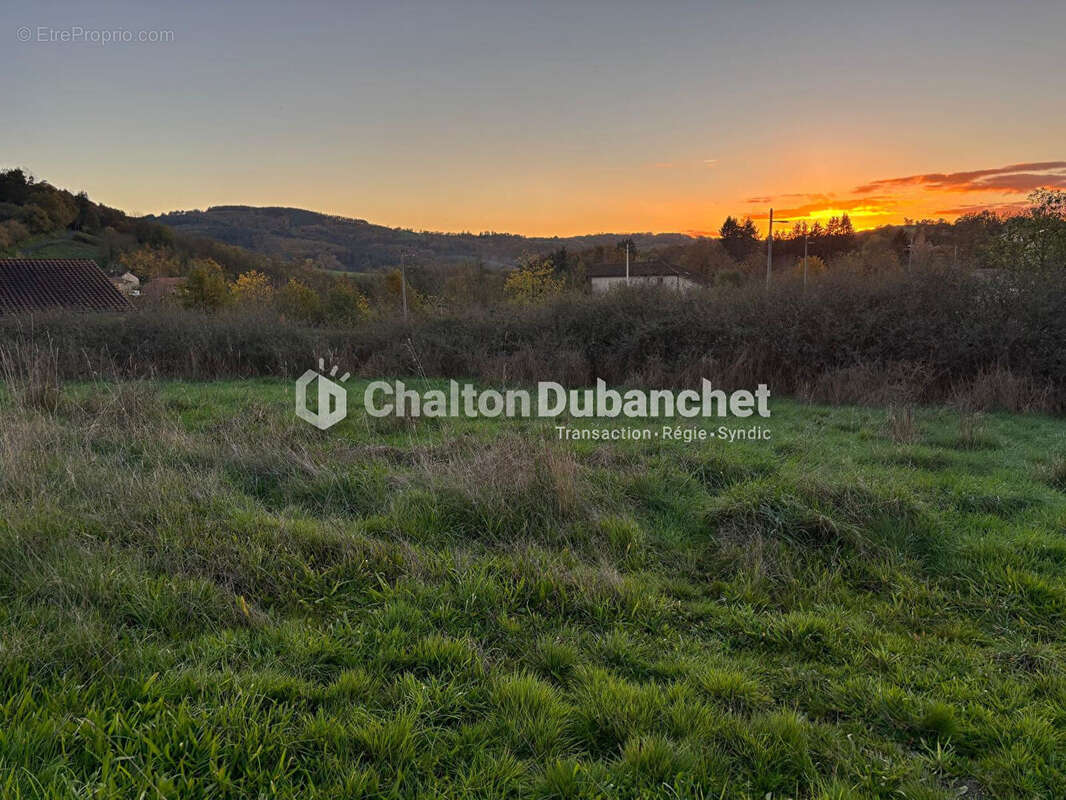 Saint  victor sur rhins - terrain de 1396 m² - photo 4