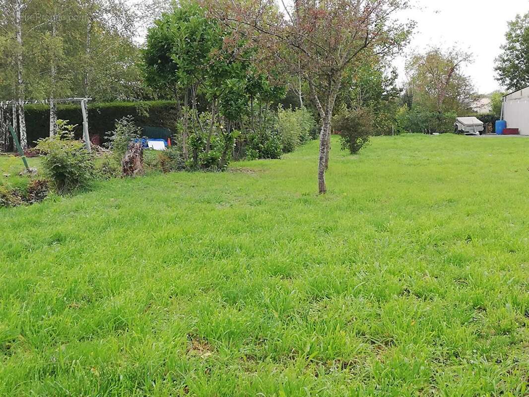 Terrain 800 m² à Marigny  - photo 4