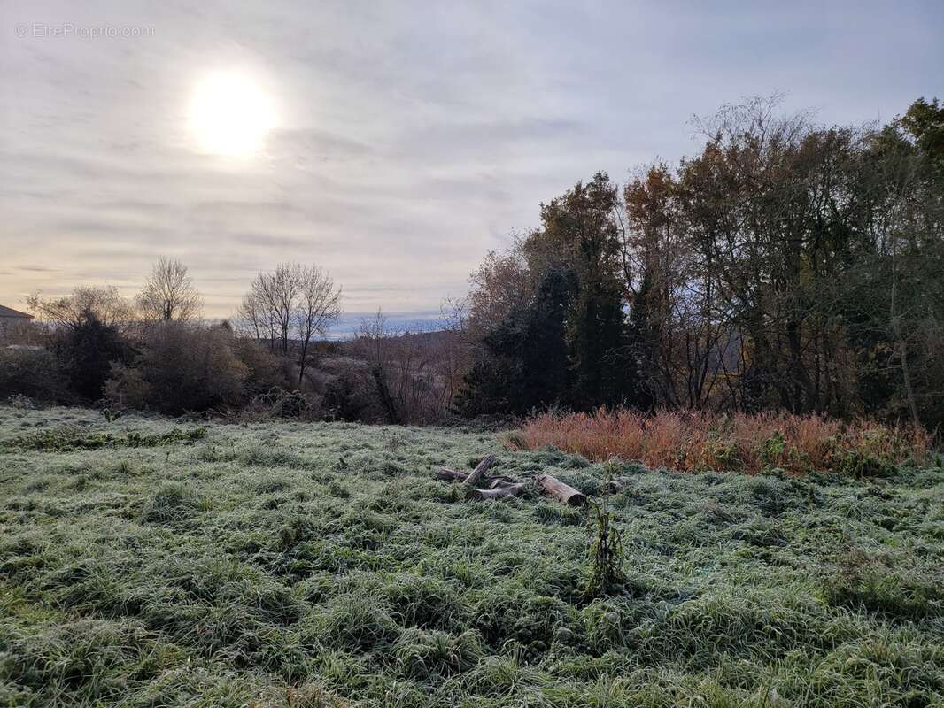 Terrain à SAINT-LEONARD-DE-NOBLAT