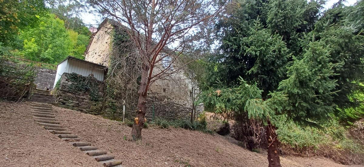 Maison en Pierre  ARGENTAT sur Dordogne - photo 5