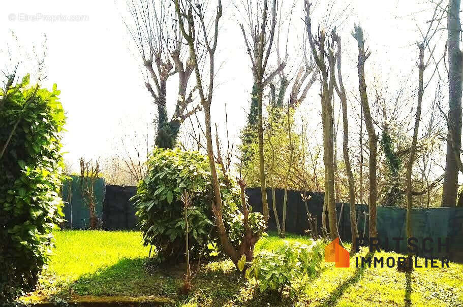 Appartement à KINGERSHEIM