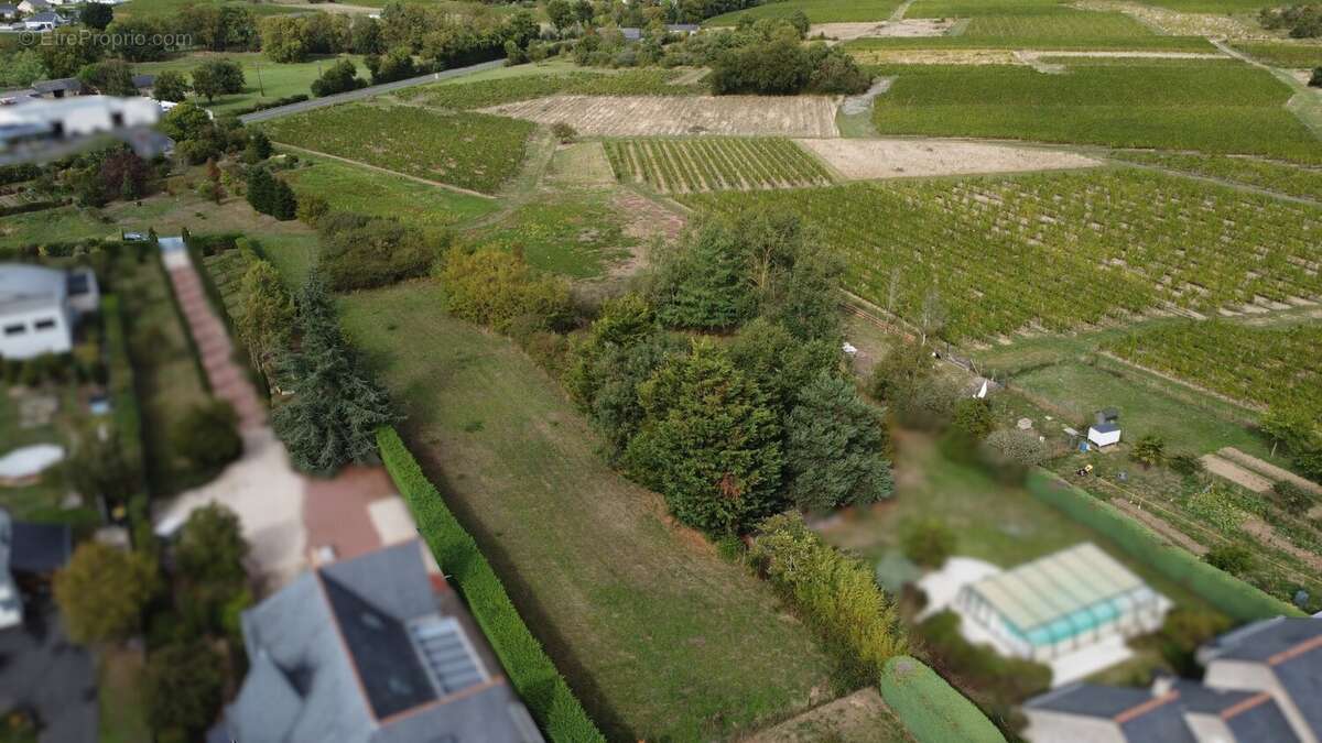 Terrain à SAINT-LAMBERT-DU-LATTAY