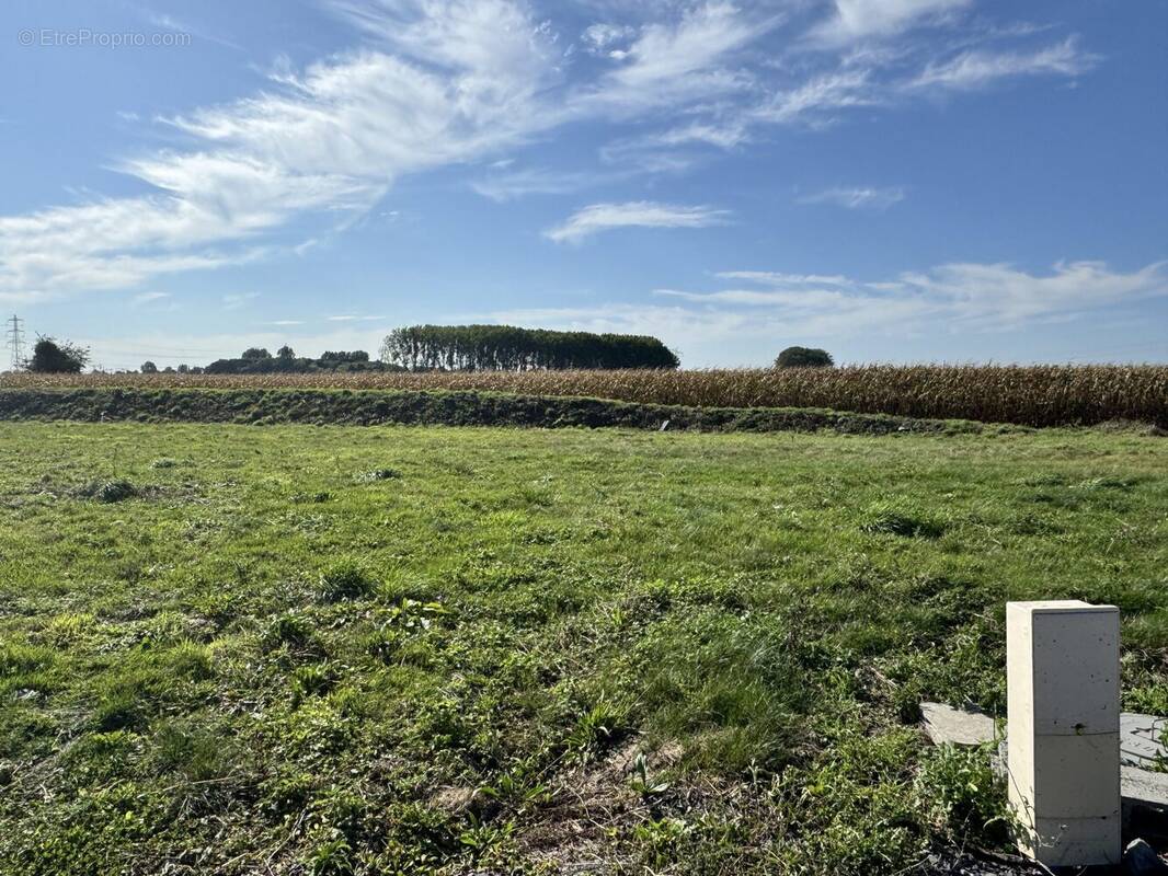 Terrain à ENNEVELIN