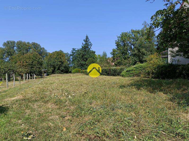 Terrain à GRACAY