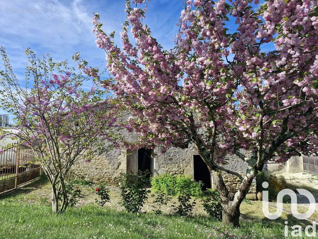 Photo 4 - Maison à GENSAC