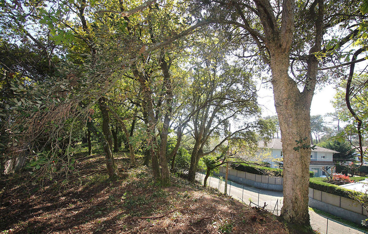 Terrain à CAPBRETON