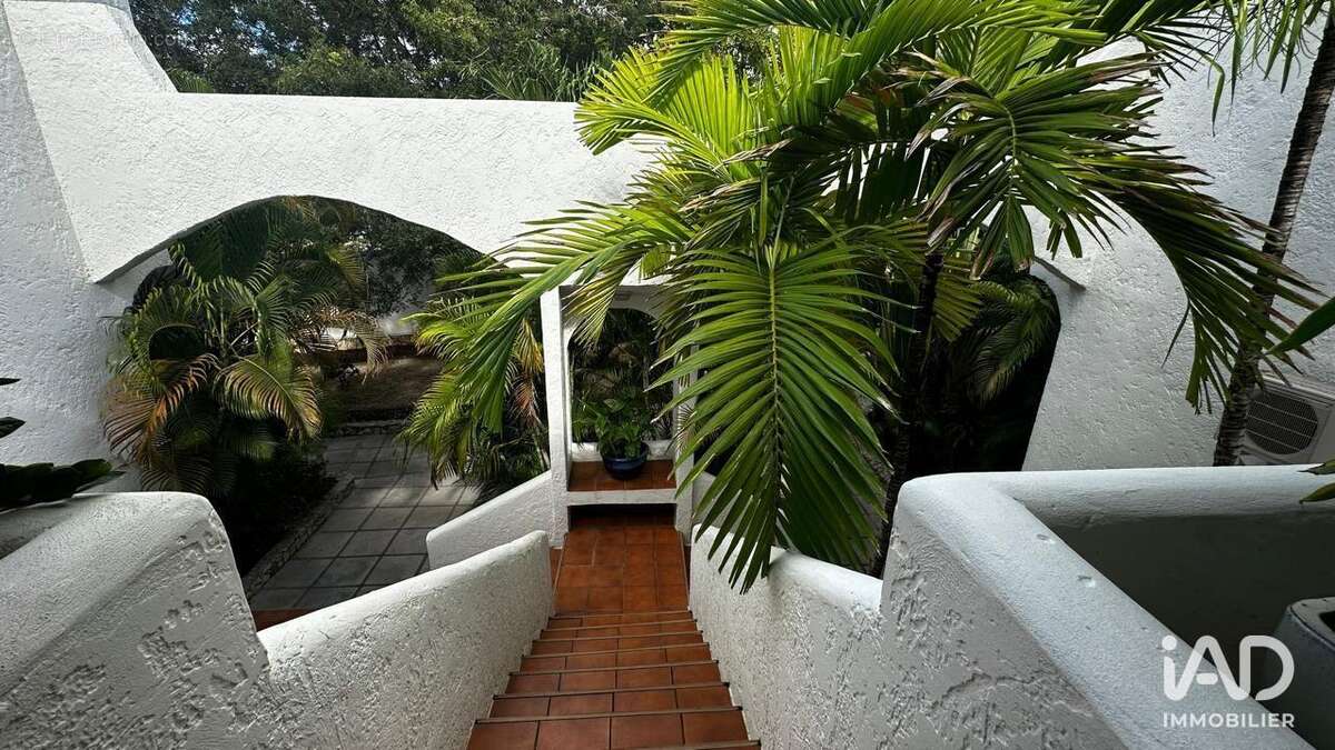 Photo 5 - Appartement à SAINT-MARTIN