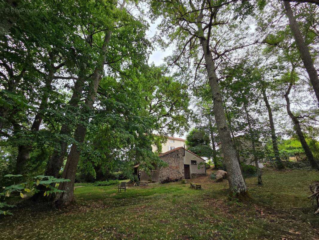 Maison 6 pièces de 143 m² à Moussac - photo 11