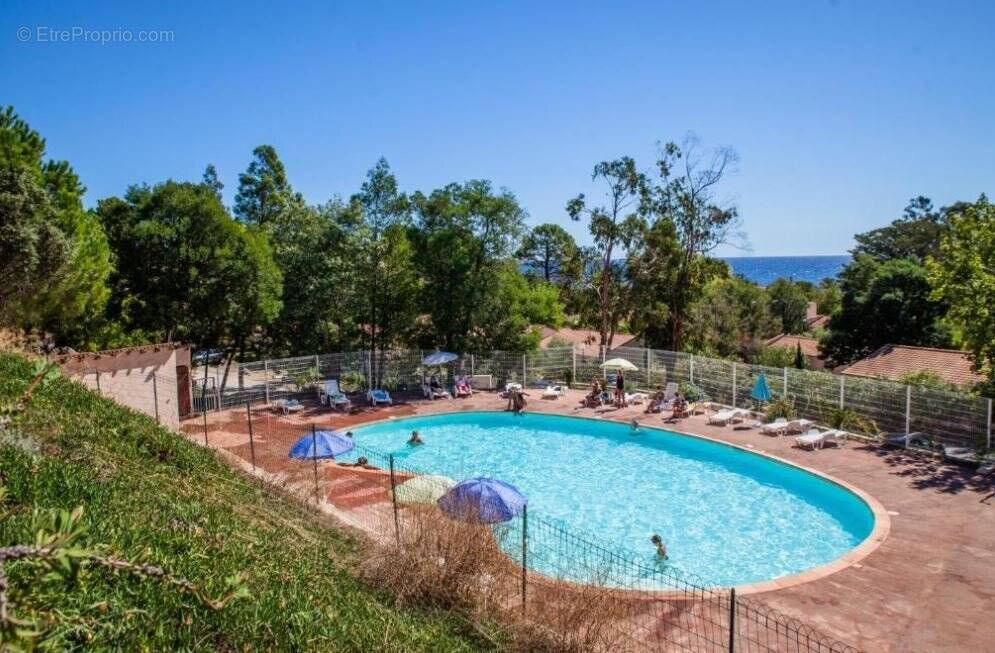 Appartement à SARI-SOLENZARA