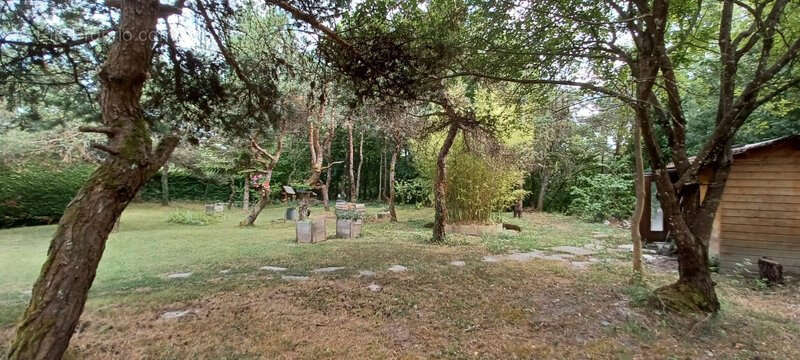 Maison 4 Chambres avec Terrain - photo 13