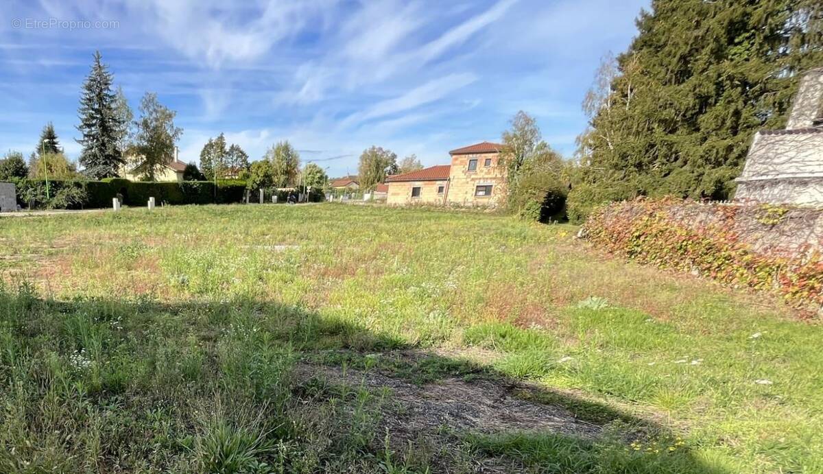 Terrain à VILLARS-LES-DOMBES