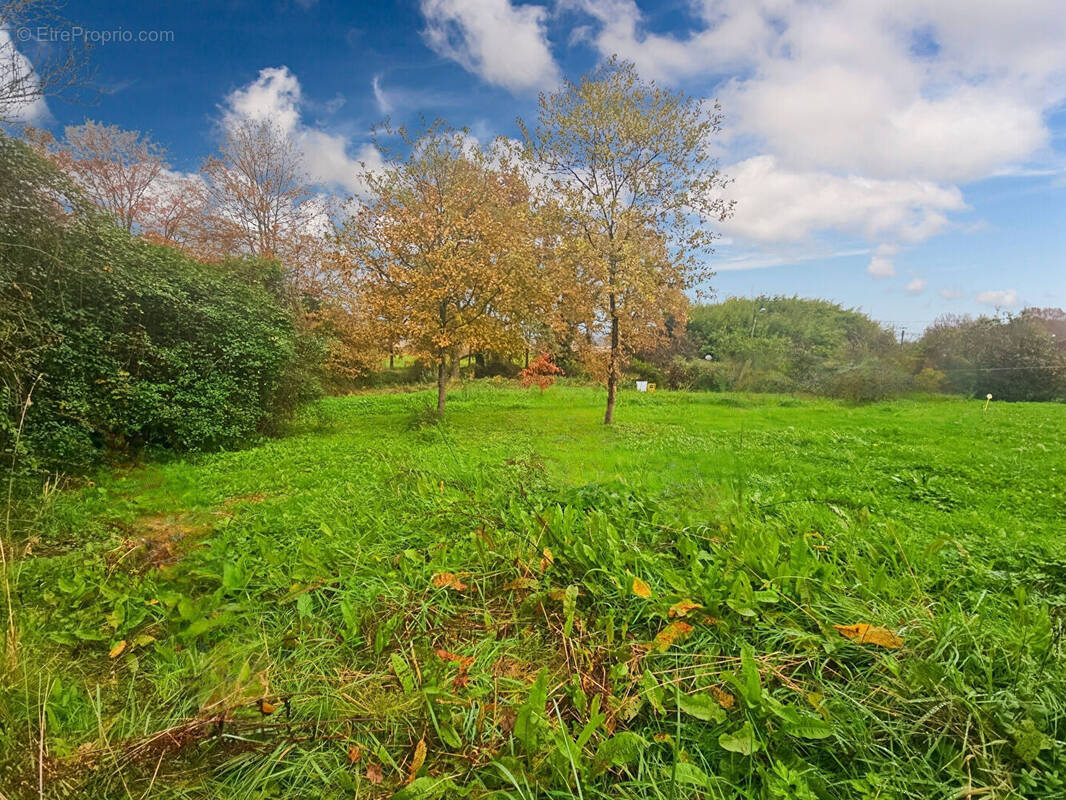 Terrain à SAINT-SEVER