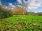 Terrain à SAINT-SEVER