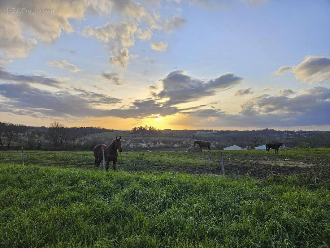 Photo 1 - Terrain à FARGUES-SAINT-HILAIRE
