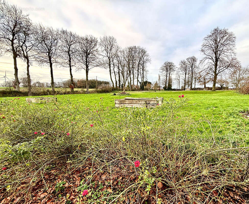 Maison à FAUVILLE-EN-CAUX