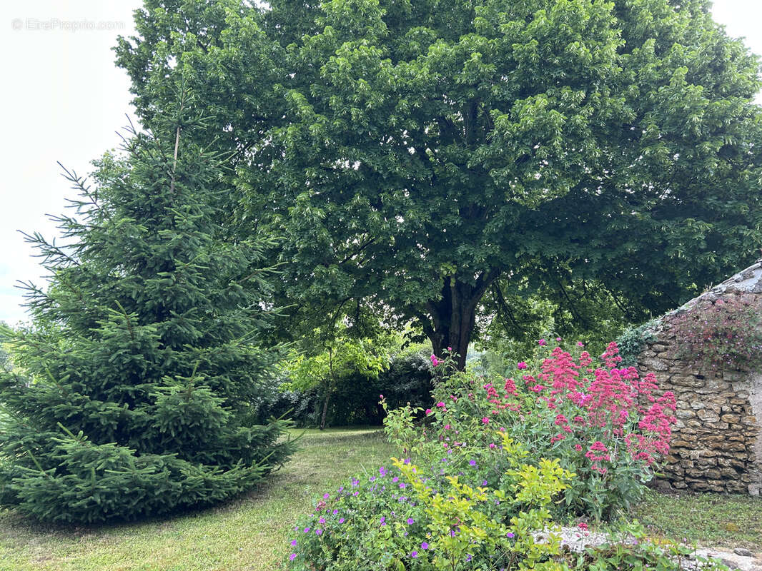 Maison à SAINT-GILLES