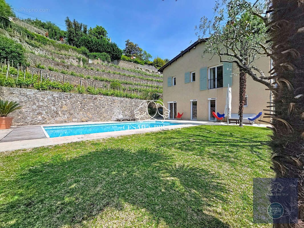 Vue sur les vignes AOP CONDRIEU en fermage - Maison à CONDRIEU