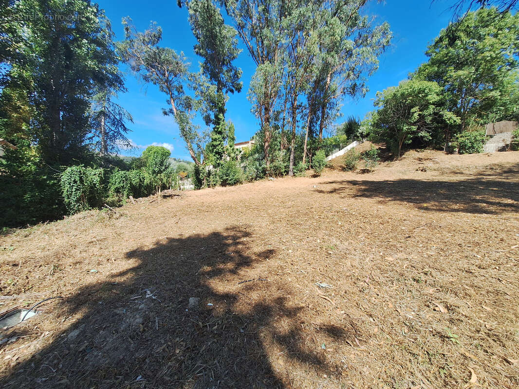 Terrain à SAINT-PAUL