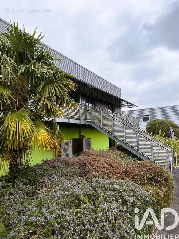 Photo 3 - Appartement à LE FAOU