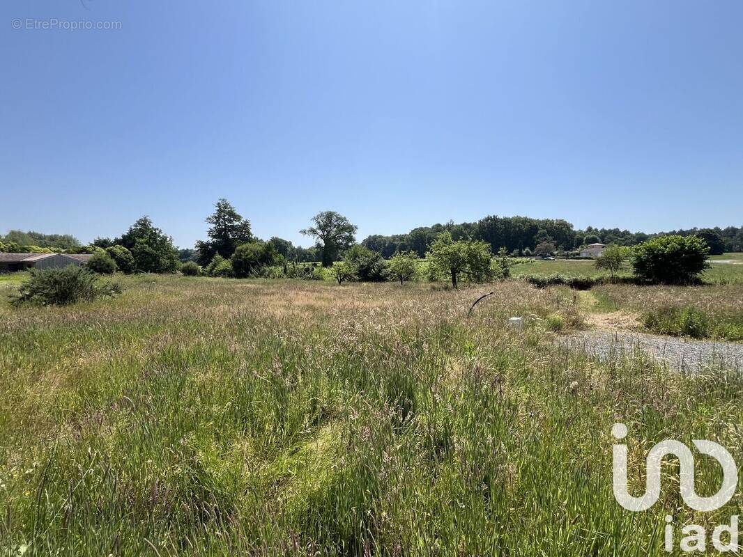 Photo 1 - Terrain à LA BREDE