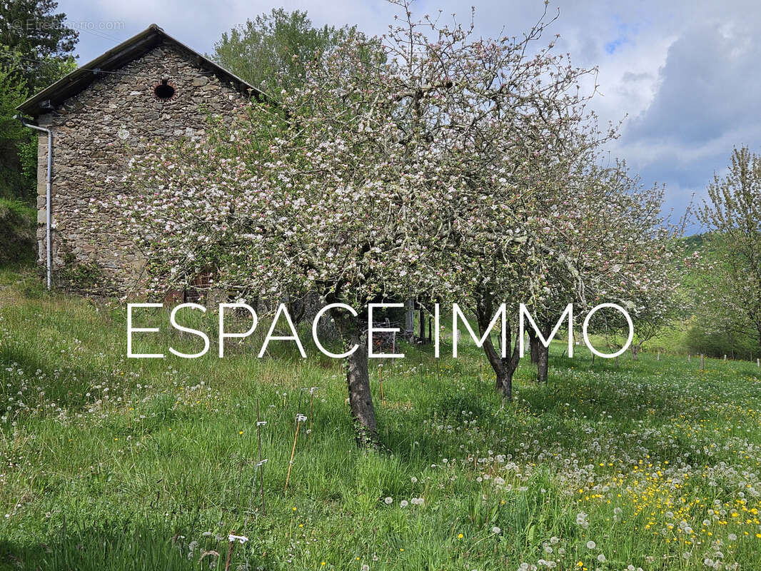 Maison à LIVINHAC-LE-HAUT