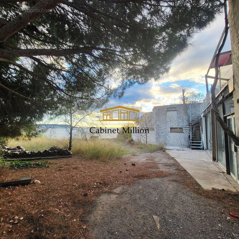 Commerce à BALARUC-LES-BAINS