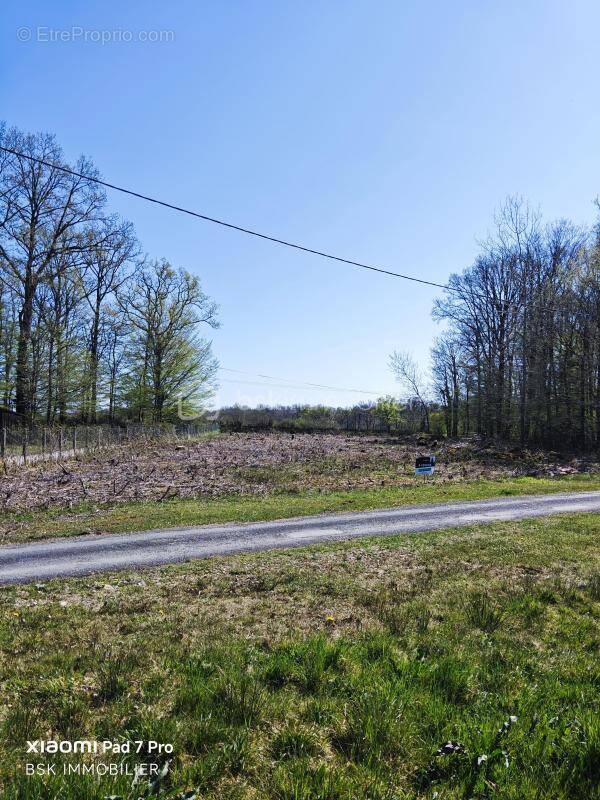 Terrain à TRIGUERES