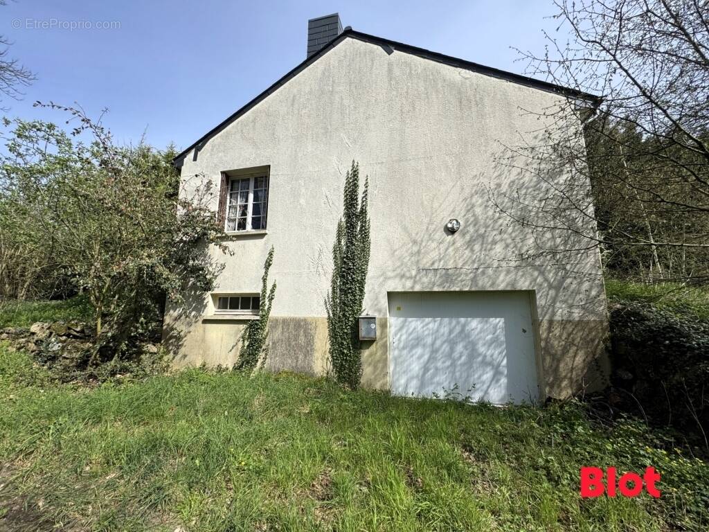 Maison à DOMAGNE