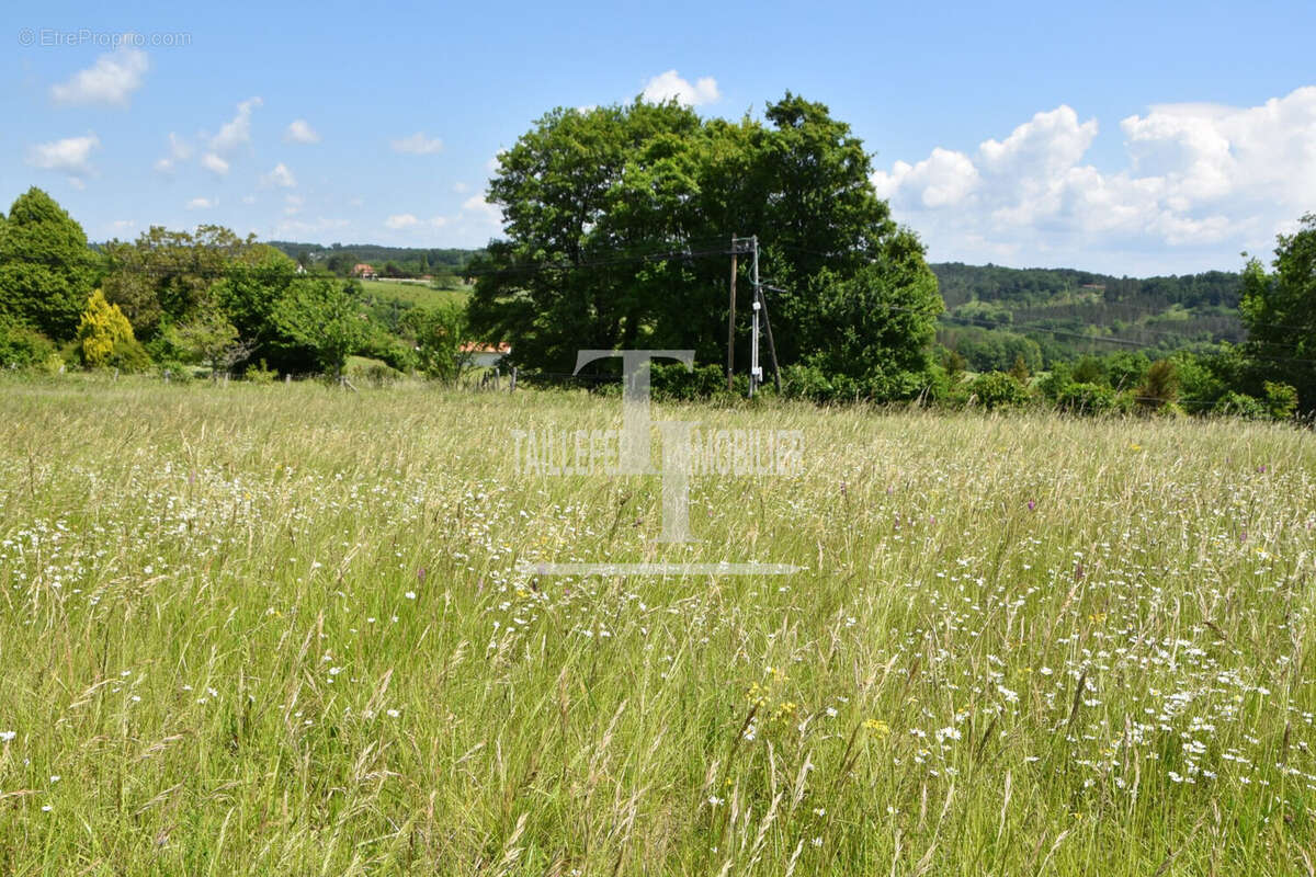 Terrain à SAINT-ASTIER