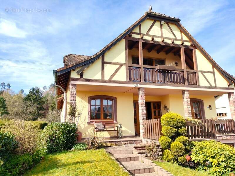 Maison à BAERENTHAL