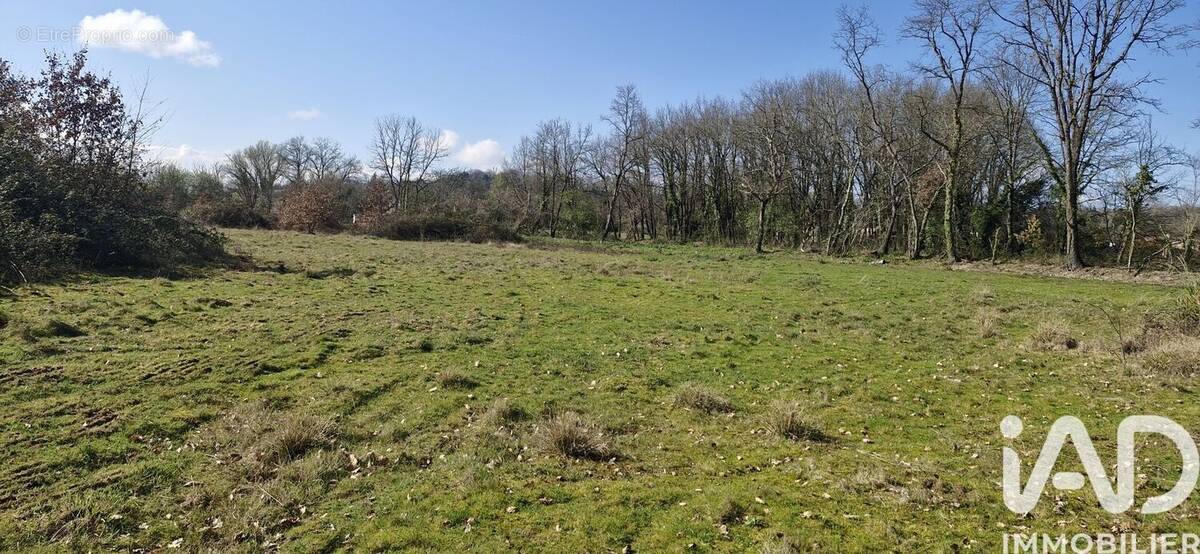 Photo 1 - Terrain à MONTCARET
