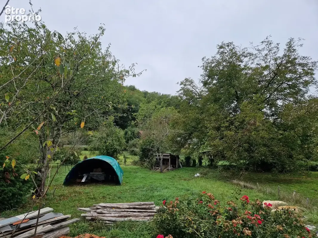 Jardin à l'arrière