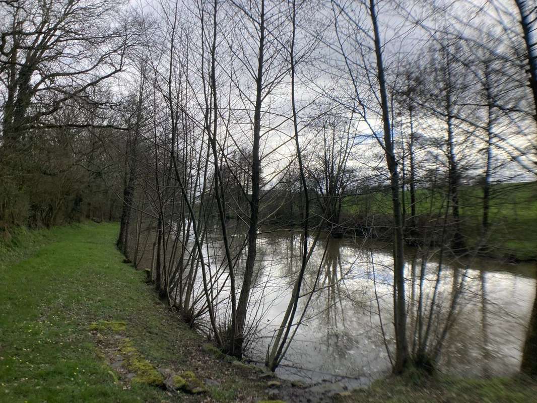 Terrain à FORGES-LA-FORET