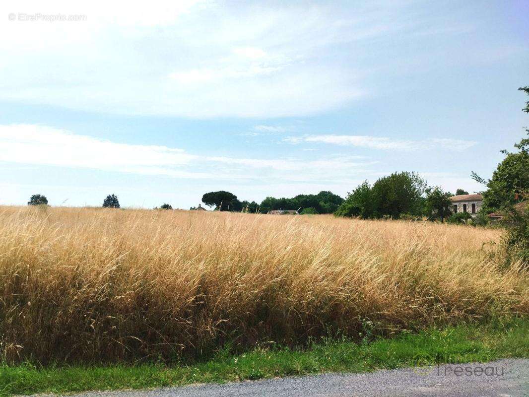 Terrain 1 000 m² à vendre à Merignac (17210) - photo 4