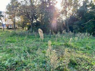 Terrain à SAINT-BARTHELEMY-D&#039;ANJOU