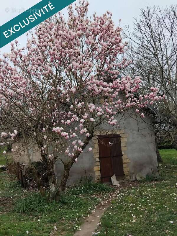 Photo 5 - Maison à FRESNE-SAINT-MAMES