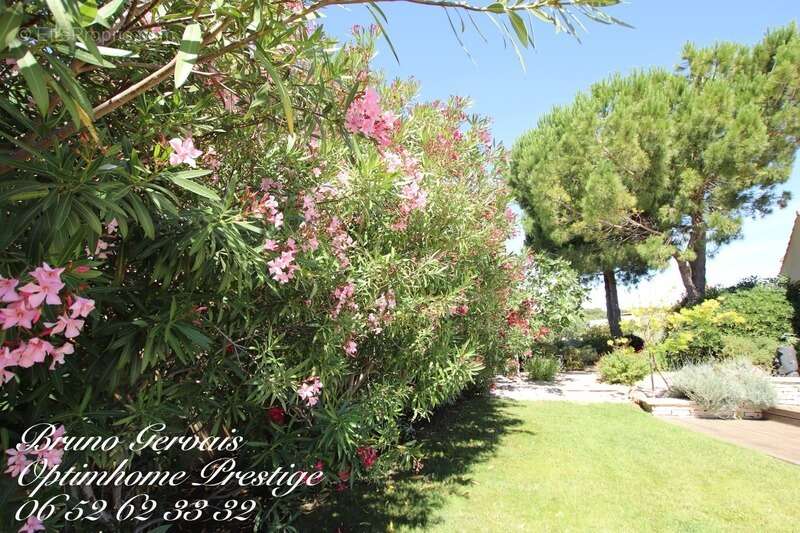 Villa de prestige sur les hauteurs de bouzigues - photo 27