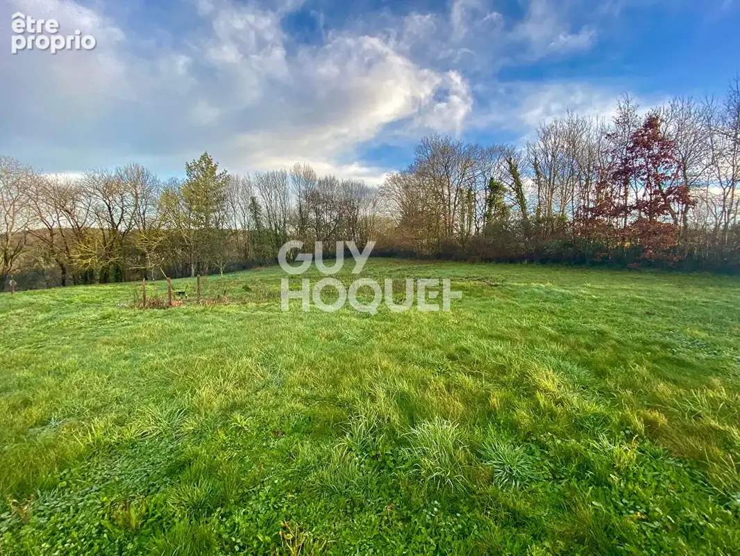 Terrain 1 942 m² à vendre à Mervent (85200) - photo 1
