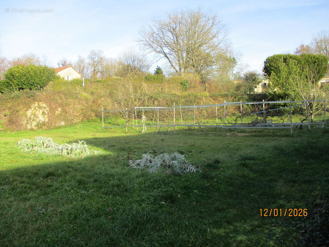Terrain à VAUX