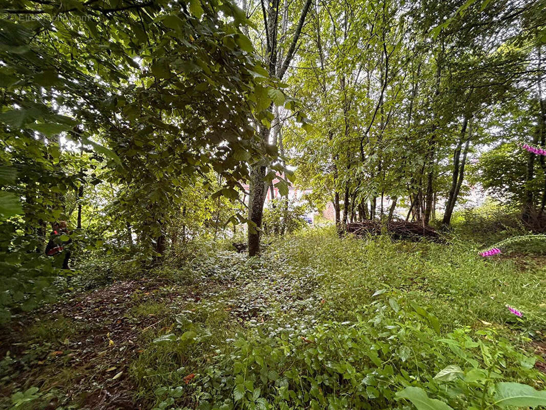 Terrain à LADIGNAC-LE-LONG