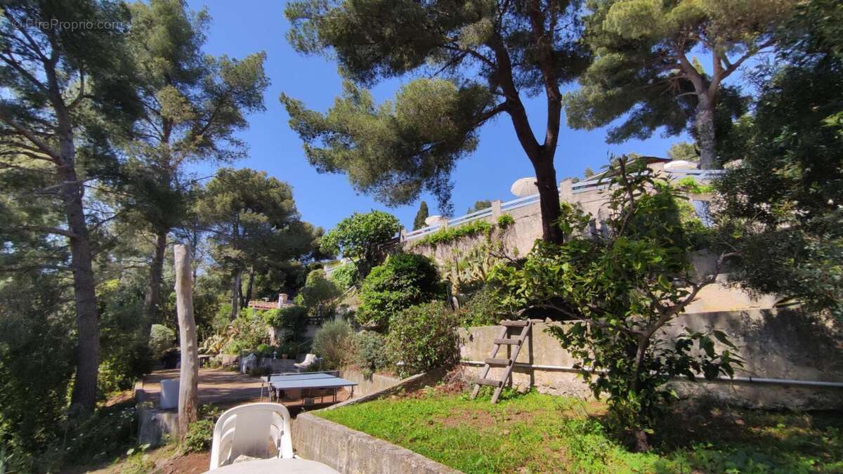 Maison à BORMES-LES-MIMOSAS