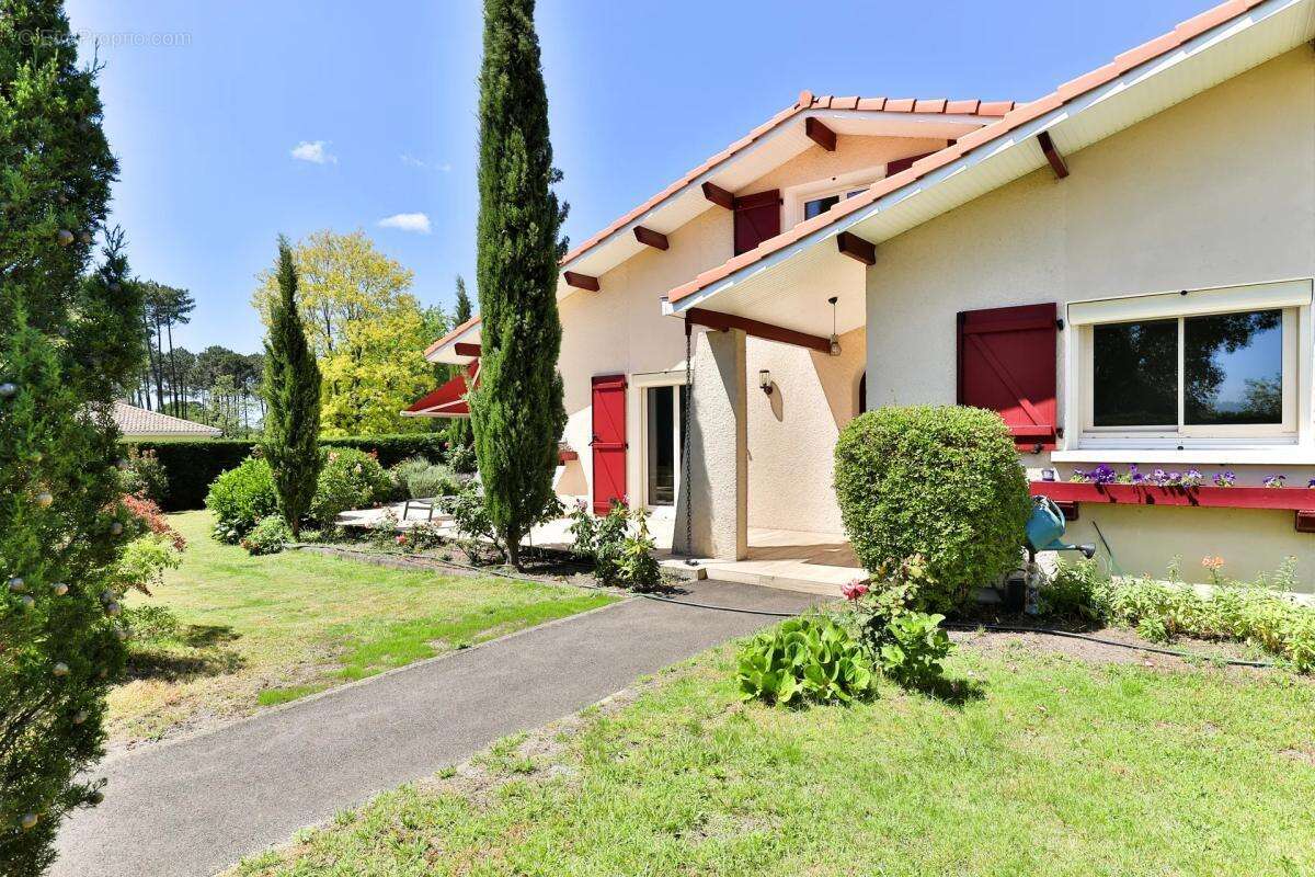 Maison à SANGUINET