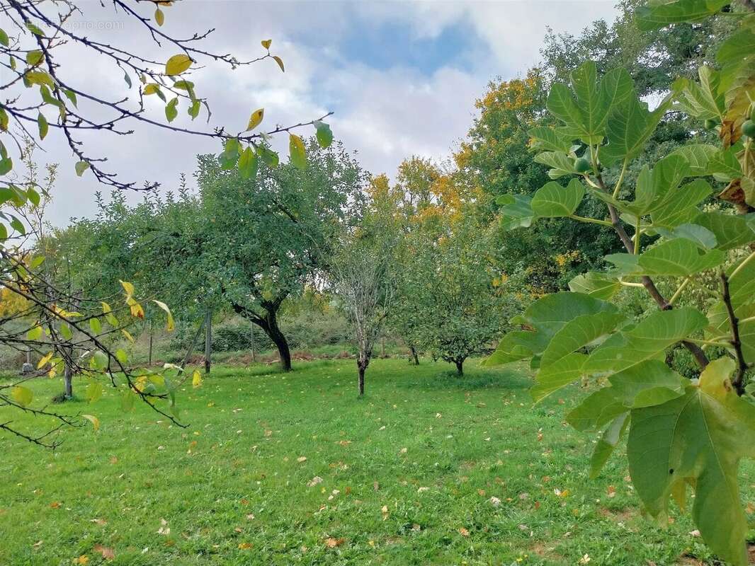 Maison à SAINT-HILAIRE-SUR-BENAIZE