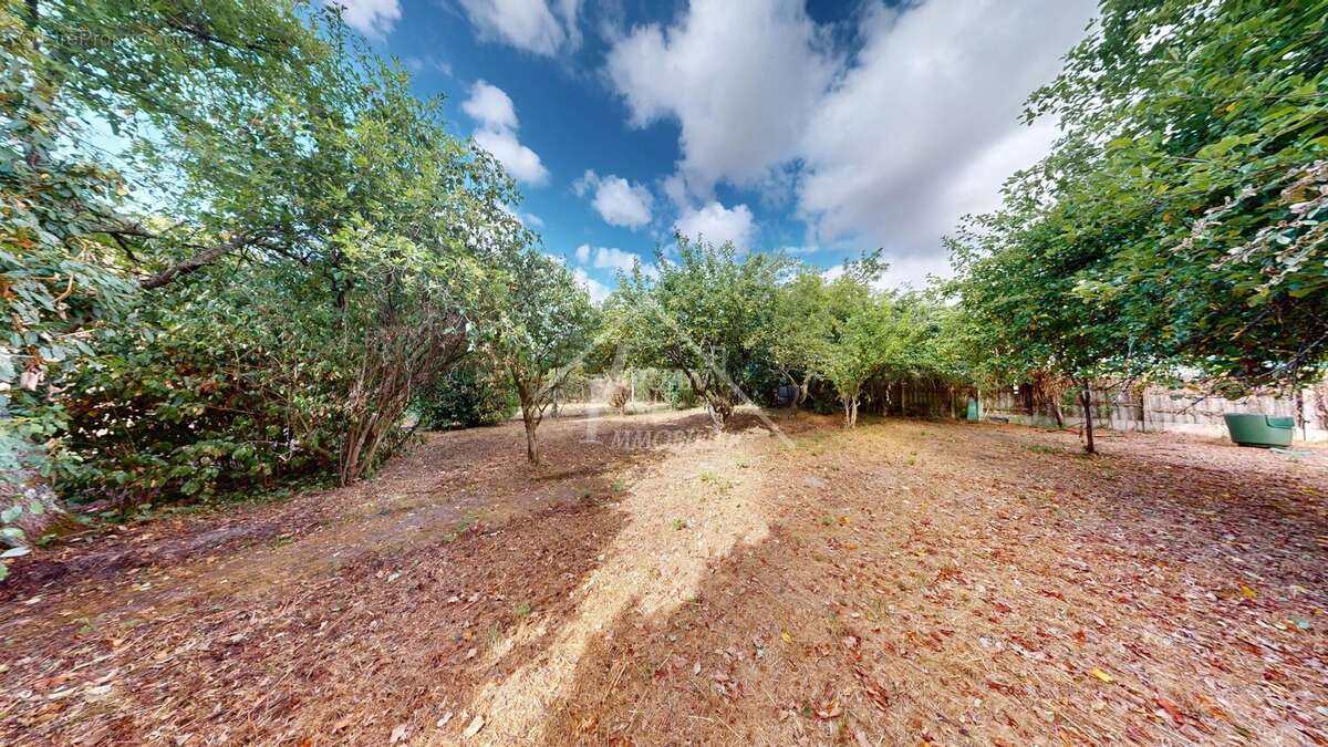 Maison lumineuse de 82 m² à Diou avec jardin - photo 14