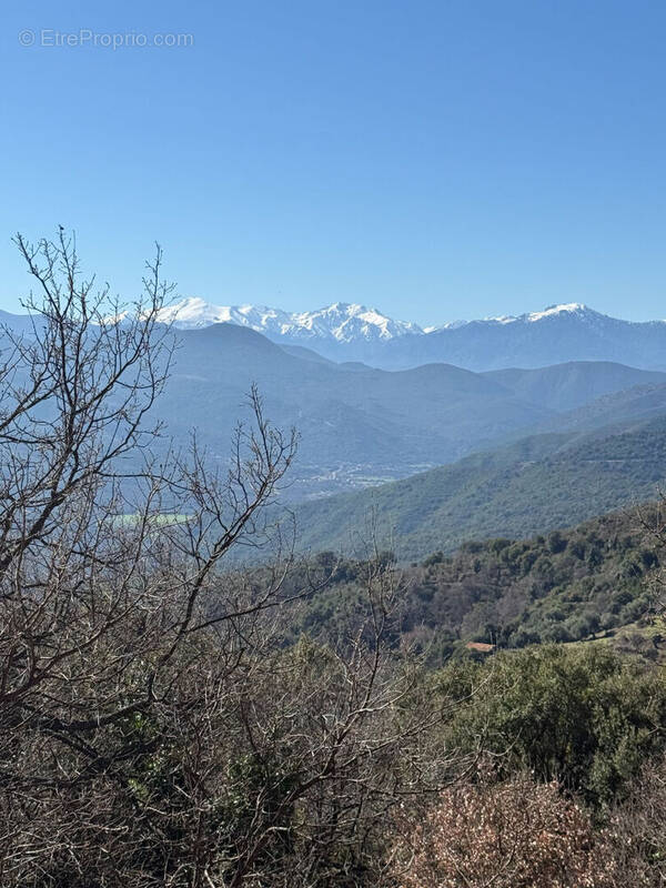 Terrain à CAMPITELLO