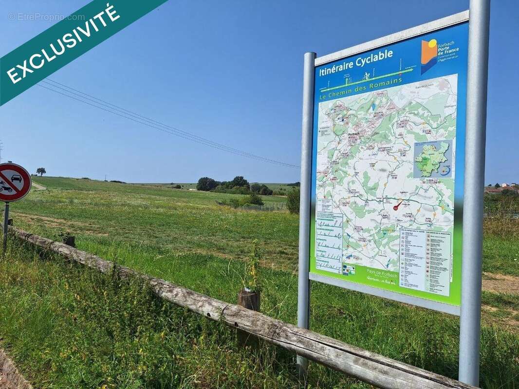 Photo 2 - Terrain à NOUSSEVILLER-SAINT-NABOR